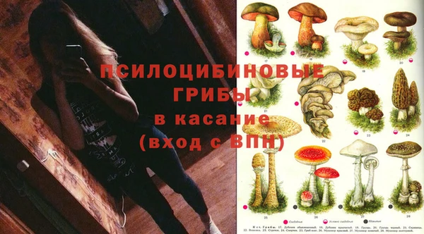 не бодяженный Баксан