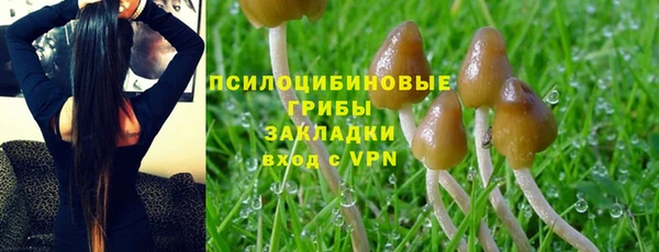 не бодяженный Баксан
